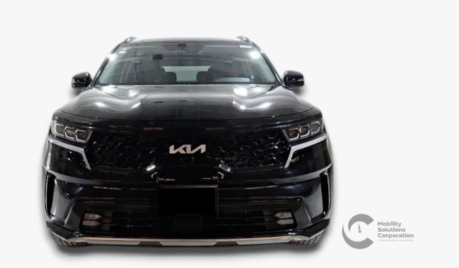 Auto 1